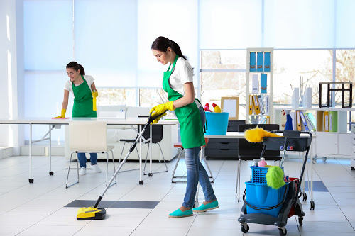 6 Things to Consider Before Hiring a Carpet Cleaning Service