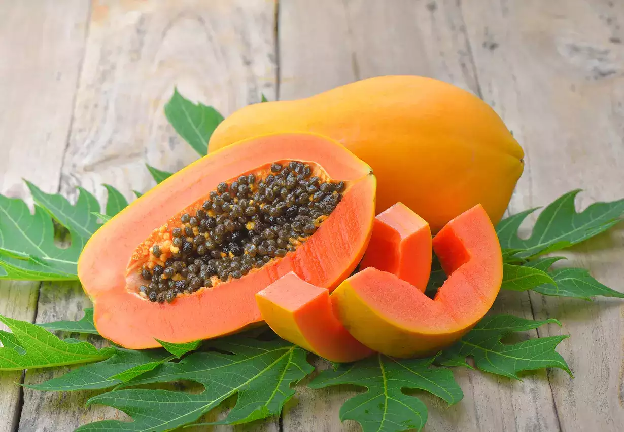 Papaya Is Good For Your Healthy And Happiness Life