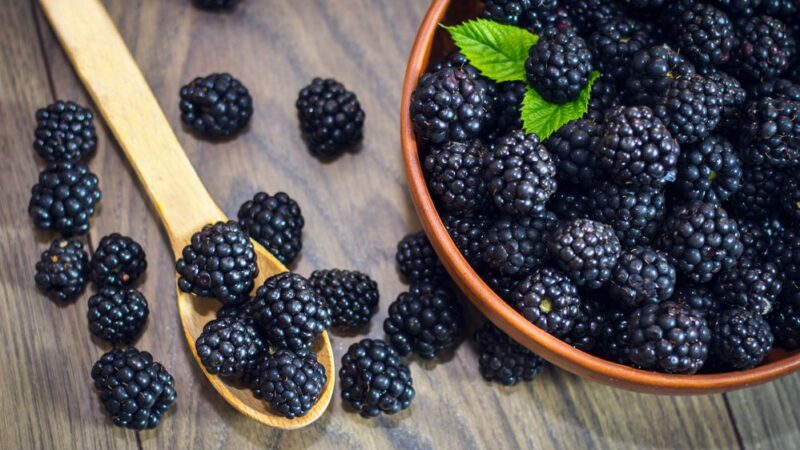 The Benefits of Blackberries for Men’s Health