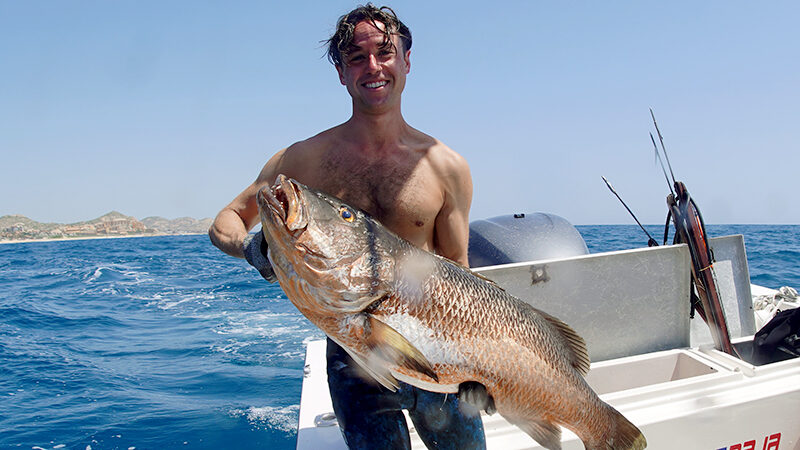 Spearfishing in Baja: Exploring the Best Locations, Catching Fish, and Essential