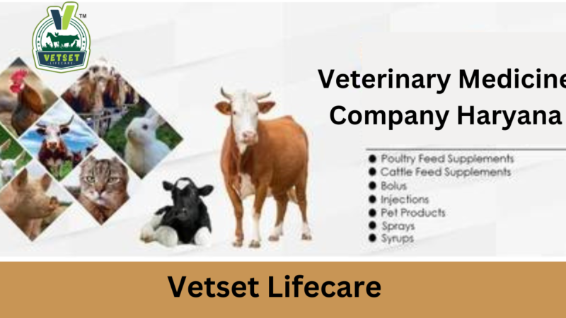 Why Choose a Veterinary Medicine Company in Haryana for Your Pet’s Health Needs
