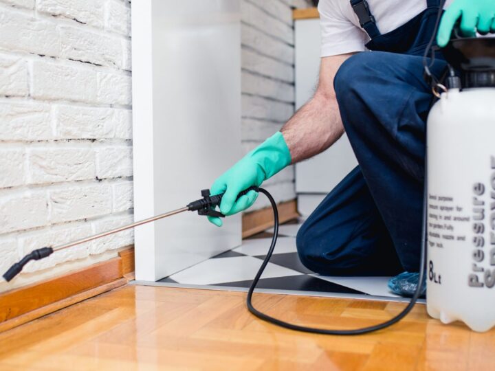 Rodent Control Tips: How to Prevent and Eliminate Rats and Mice from Your Property