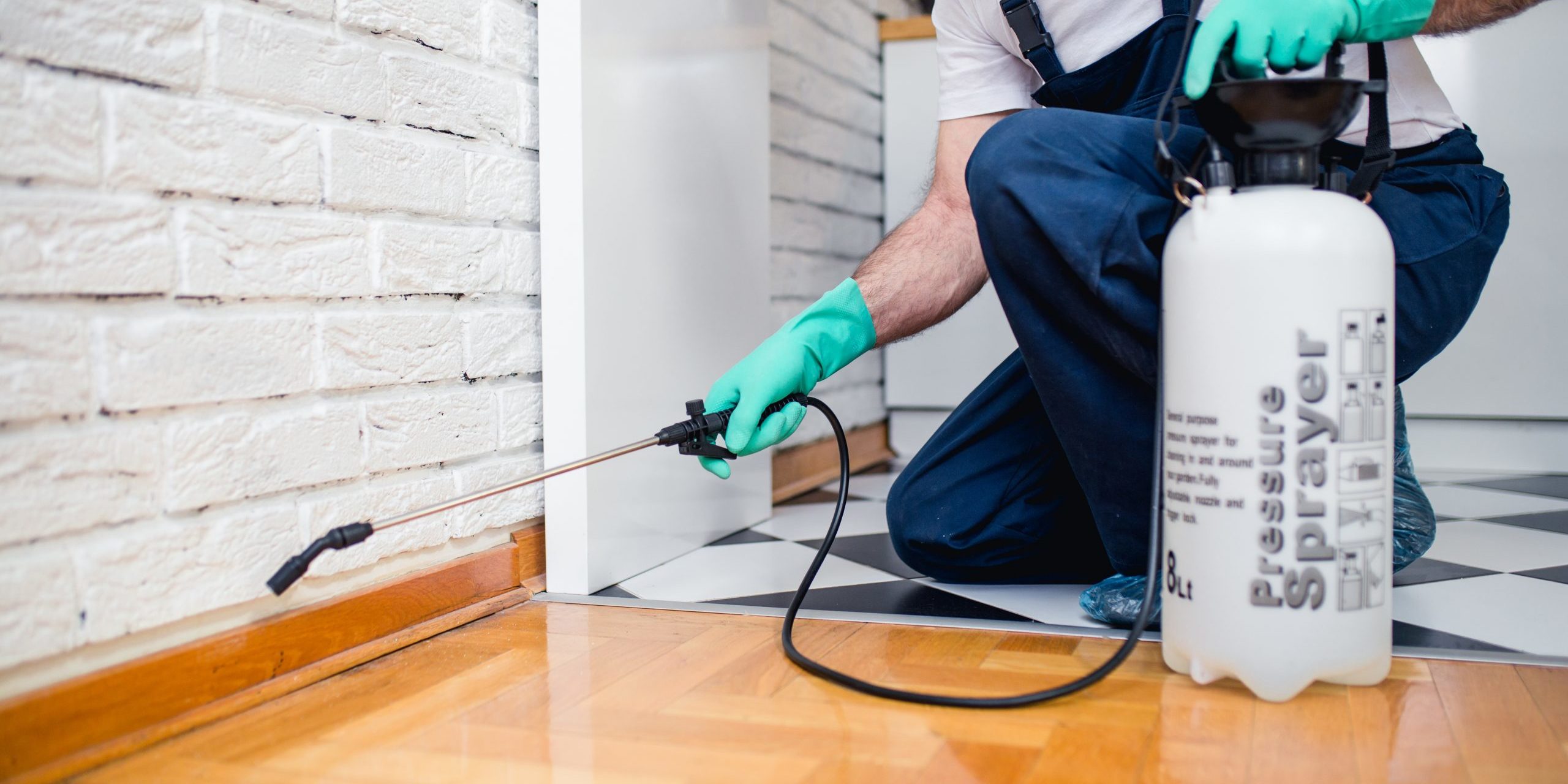 Rodent Control Tips: How to Prevent and Eliminate Rats and Mice from Your Property