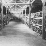 Holocaust