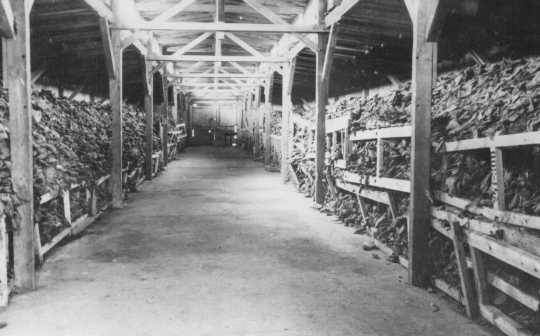 Holocaust