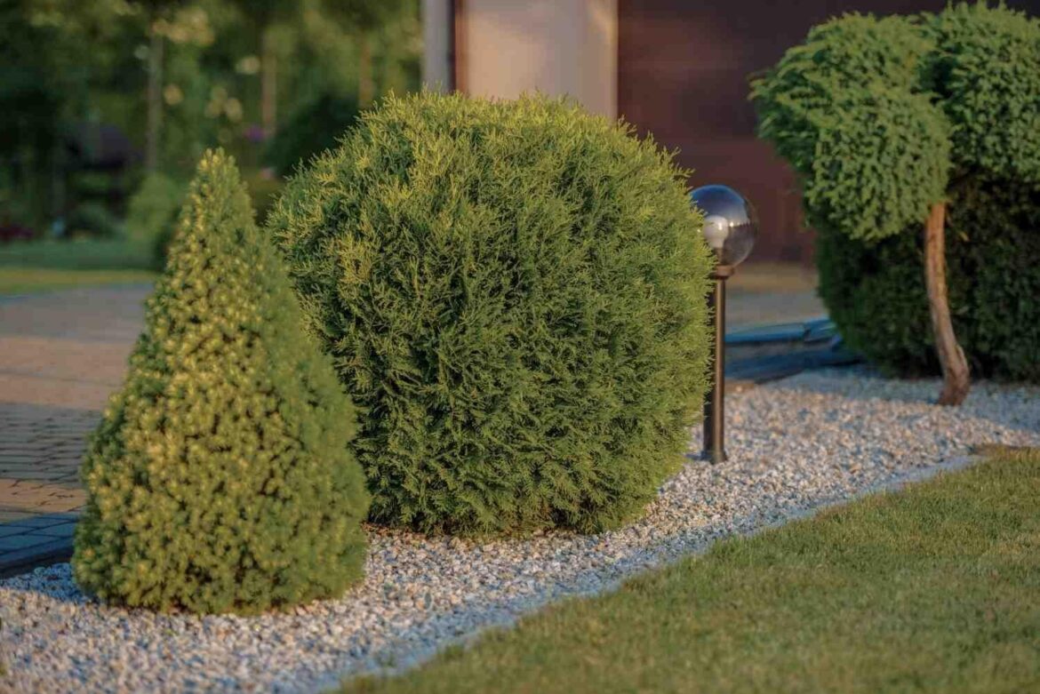 How Can One Pick the Best Garden Water Fountain Outside?