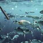 underwater inspection camera