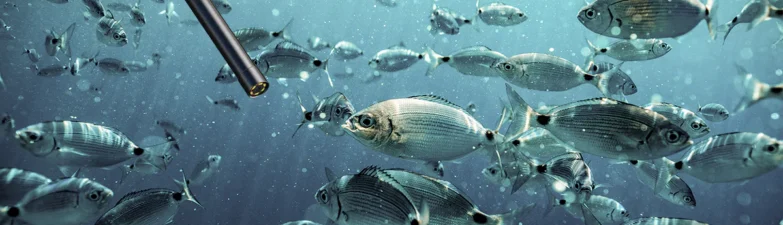 underwater inspection camera