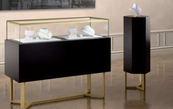 Jewelry Display Case