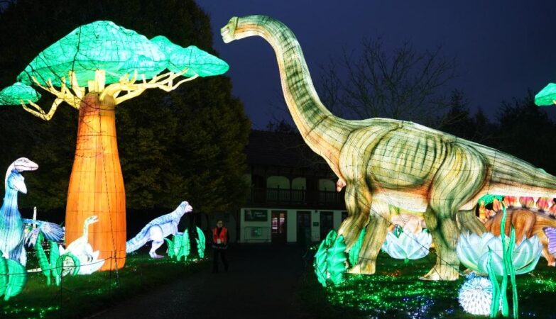 zoo lantern festival