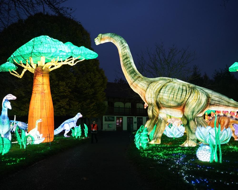 Illuminating Wildlife Nights: A Complete Guide to the Zoo Lantern Festival Experience