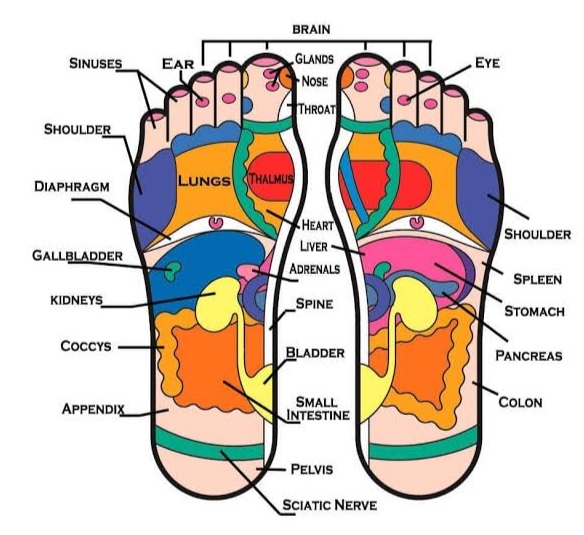 Foot Reflexology Benefits: Improve Relaxation, Balance, and Overall Wellness